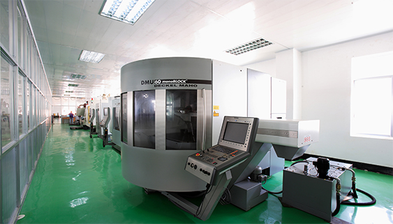 In house Mold